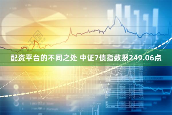 配资平台的不同之处 中证7债指数报249.06点