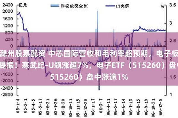 滁州股票配资 中芯国际营收和毛利率超预期，电子板块情绪受提振！寒武纪-U飙涨超7%，电子ETF（515260）盘中涨逾1%