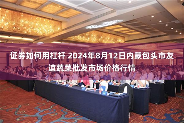 证券如何用杠杆 2024年8月12日内蒙包头市友谊蔬菜批发市场价格行情