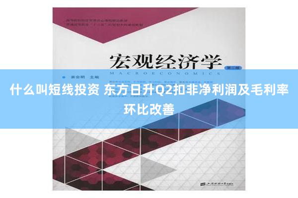 什么叫短线投资 东方日升Q2扣非净利润及毛利率环比改善