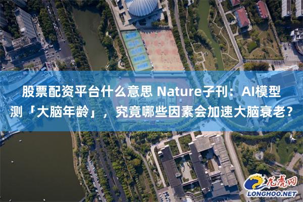 股票配资平台什么意思 Nature子刊：AI模型测「大脑年龄」，究竟哪些因素会加速大脑衰老？