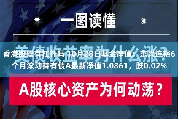 香港股票有杠杆吗 10月28日基金净值：东兴连裕6个月滚动持有债A最新净值1.0861，跌0.02%