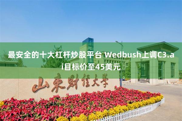 最安全的十大杠杆炒股平台 Wedbush上调C3.ai目标价至45美元