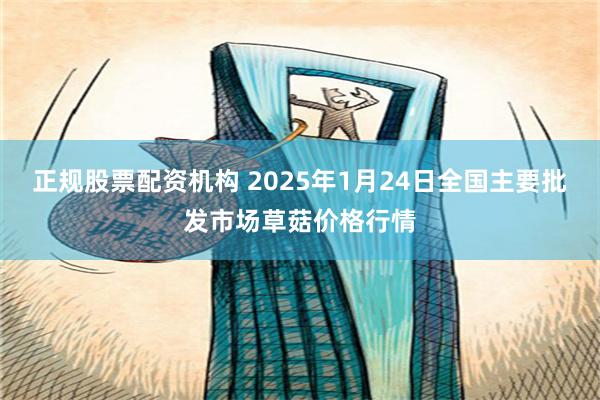 正规股票配资机构 2025年1月24日全国主要批发市场草菇价格行情