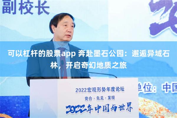 可以杠杆的股票app 奔赴墨石公园：邂逅异域石林，开启奇幻地质之旅